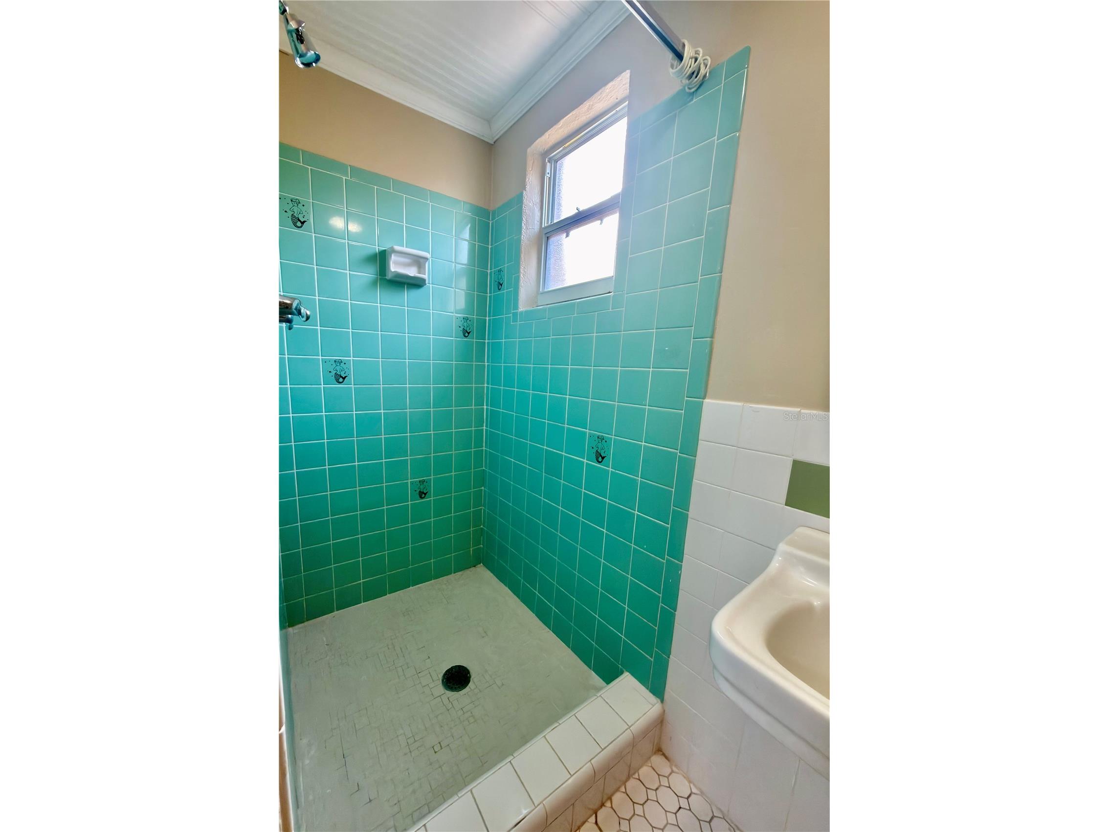 8201 120th Street Seminole FL 33772 TB8512626 image15