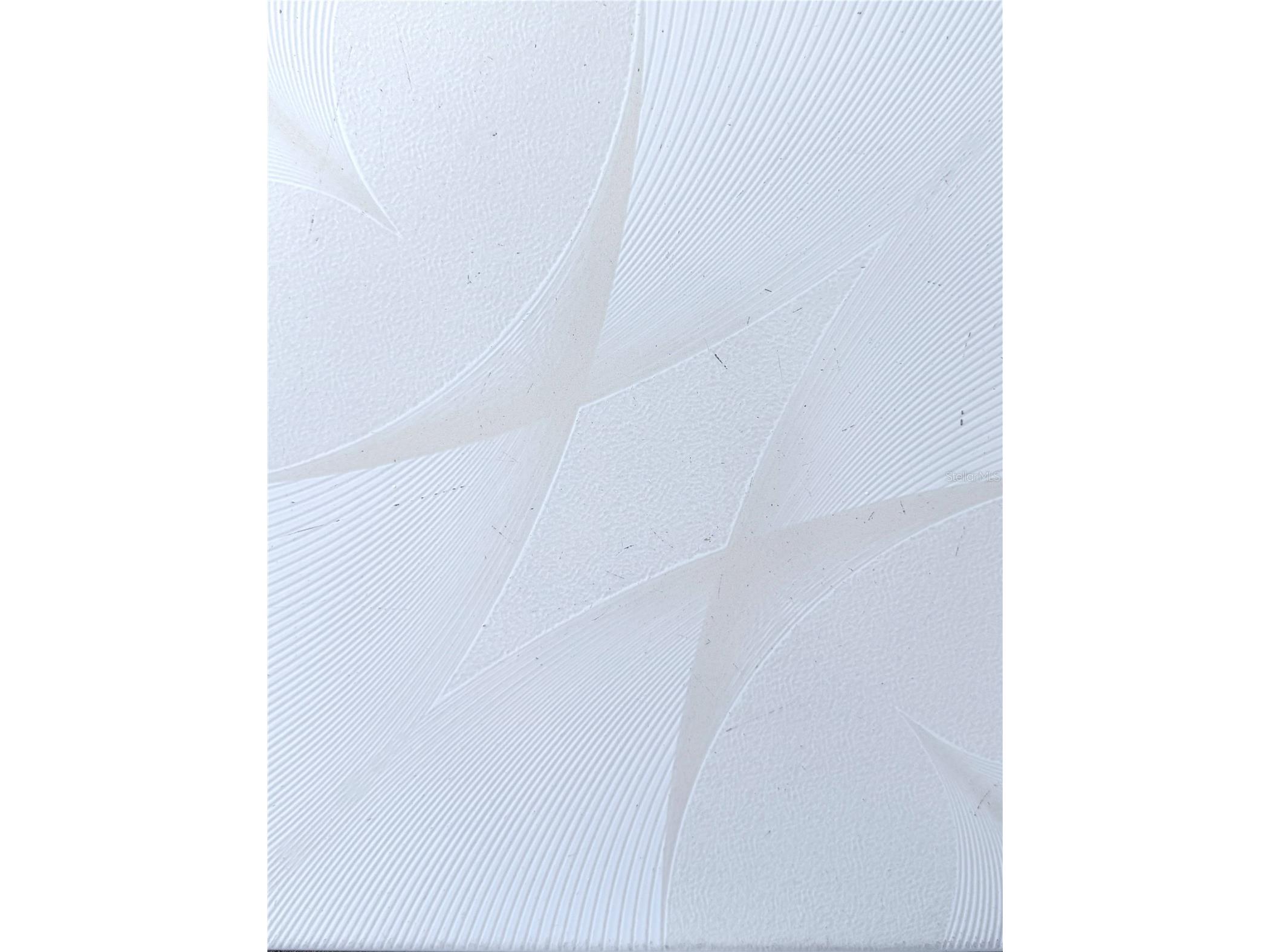 8201 Fort Thomas Way Orlando FL 32822 O6336333 image38