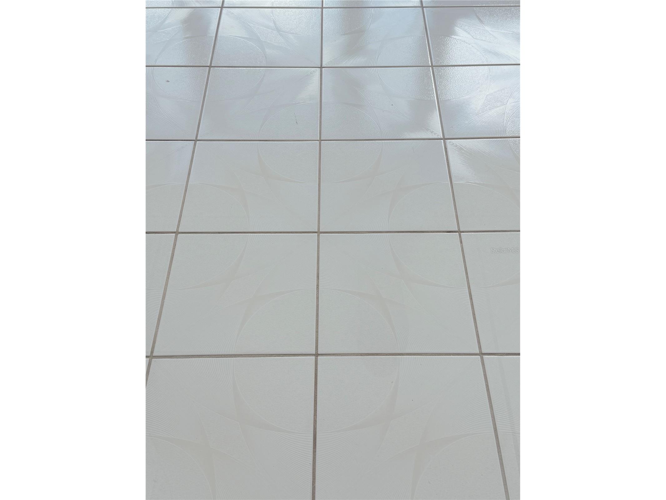 8201 Fort Thomas Way Orlando FL 32822 O6336333 image39