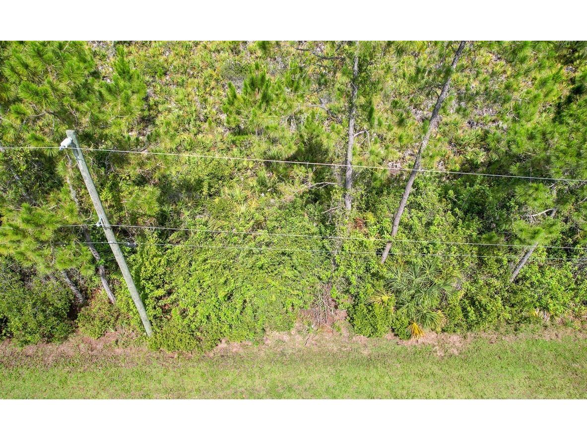 8201 Olsen Street Port Charlotte FL 33981 C7471394 image1