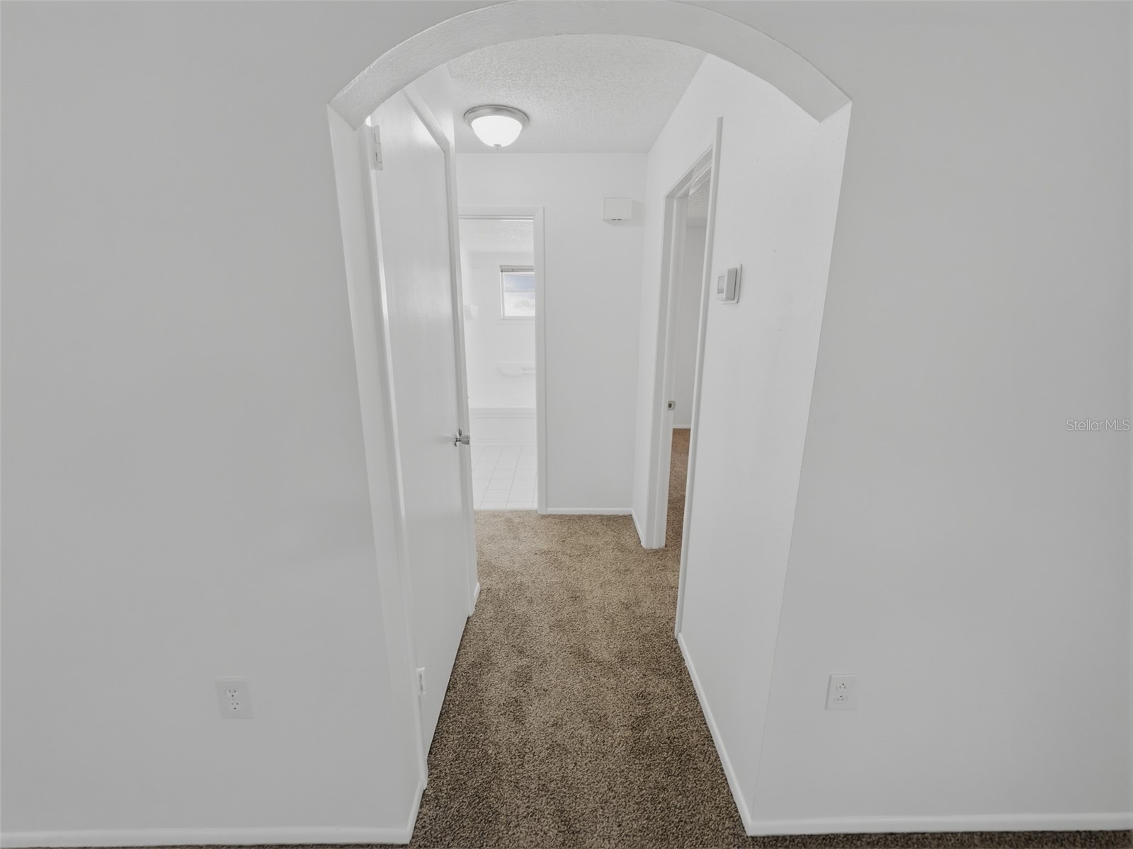 8201 Sudbury Drive Port Richey FL 34668 W7884145 image21