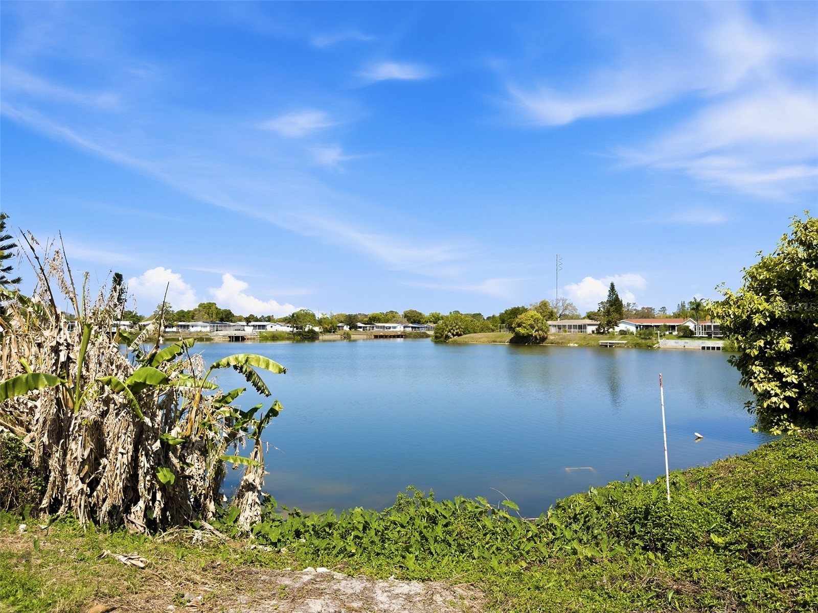 8201 Sudbury Drive Port Richey FL 34668 W7884145 image42