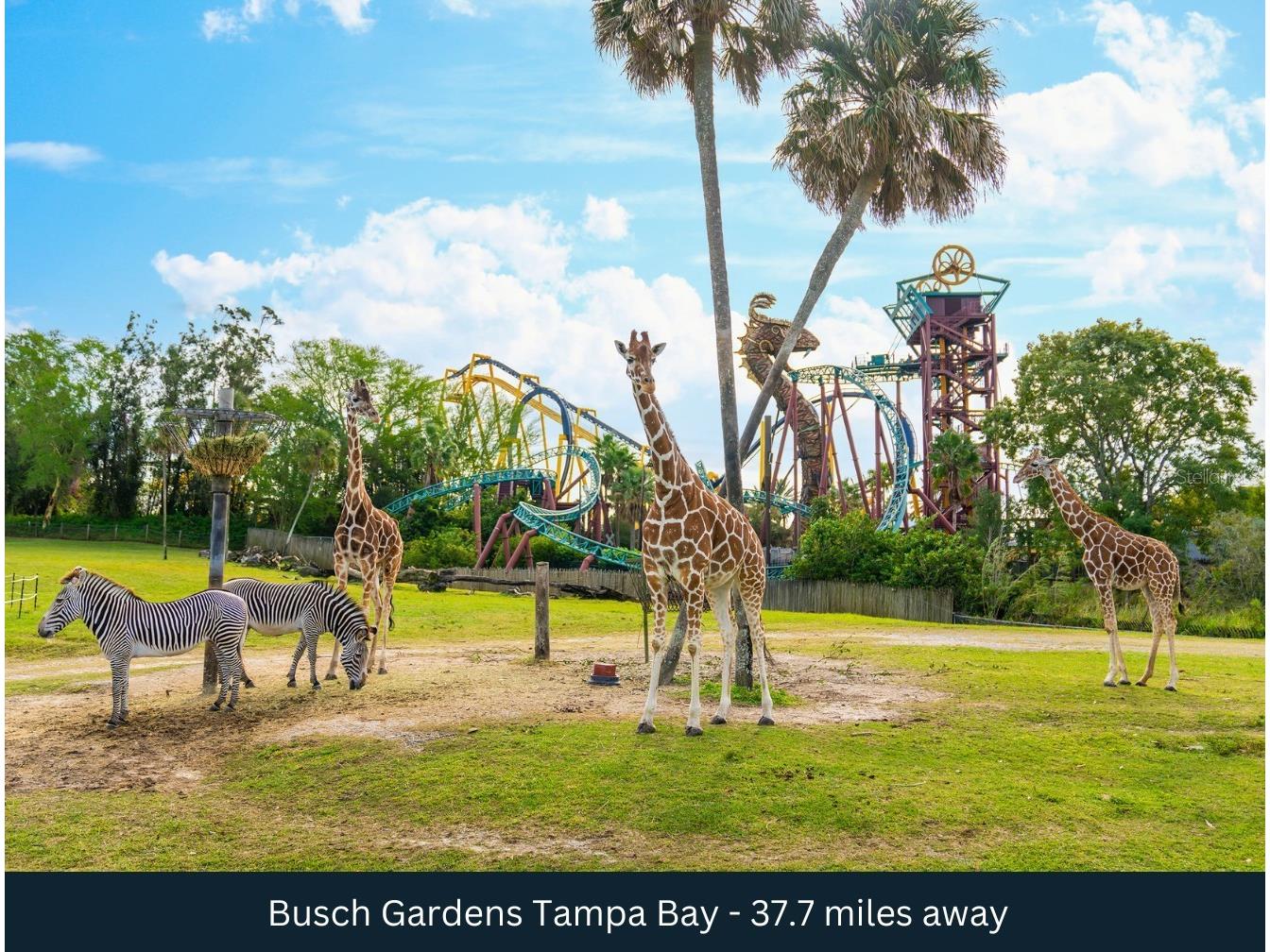 8201 Us Highway 98 N Lakeland FL 33809 TB8456143 image12