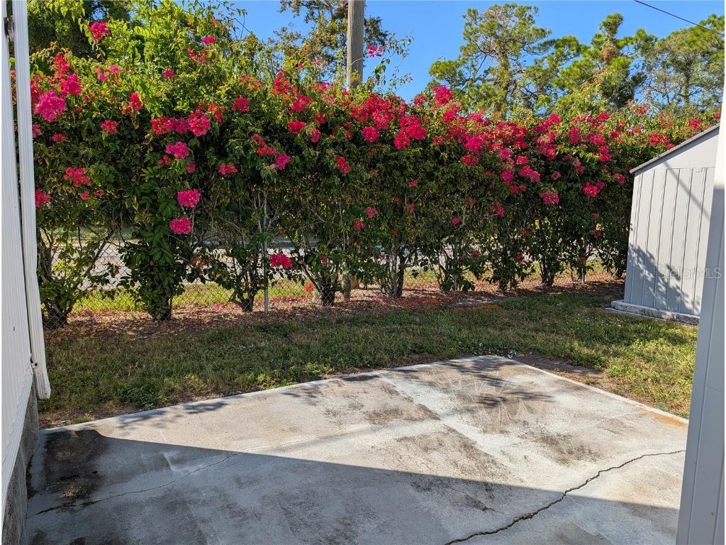 82010 A Street N #10 Pinellas Park FL 33781 TB8441380 image52