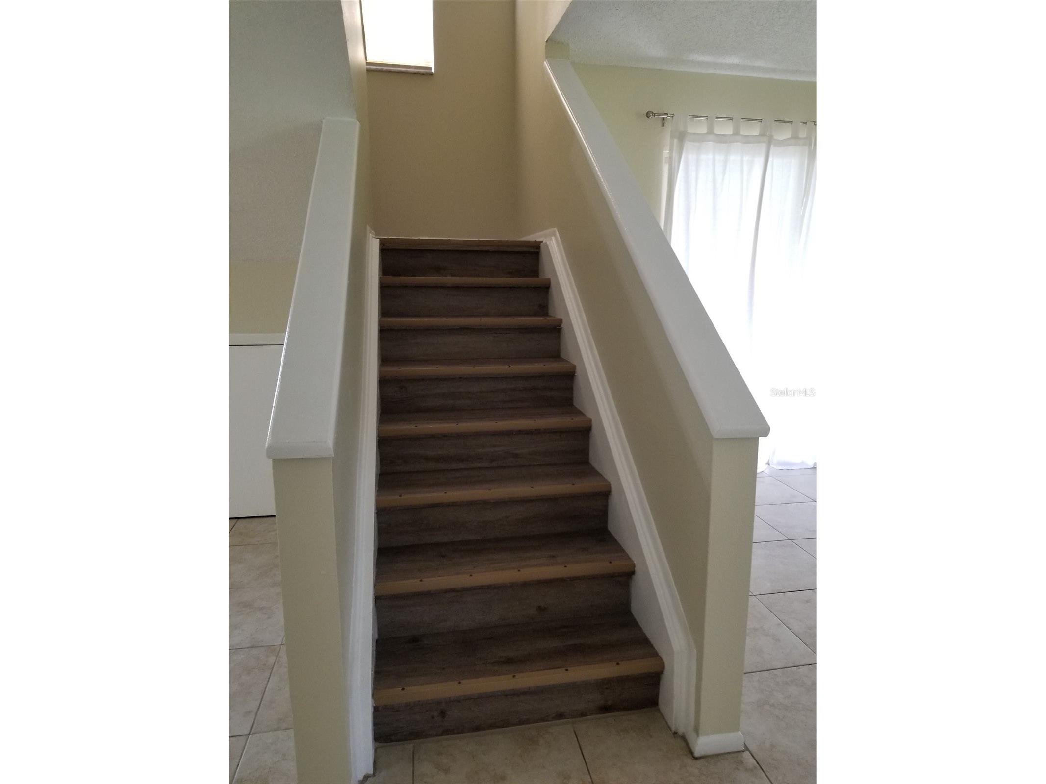 8202 Broward Place Temple Terrace FL 33637 TB8489407 image13