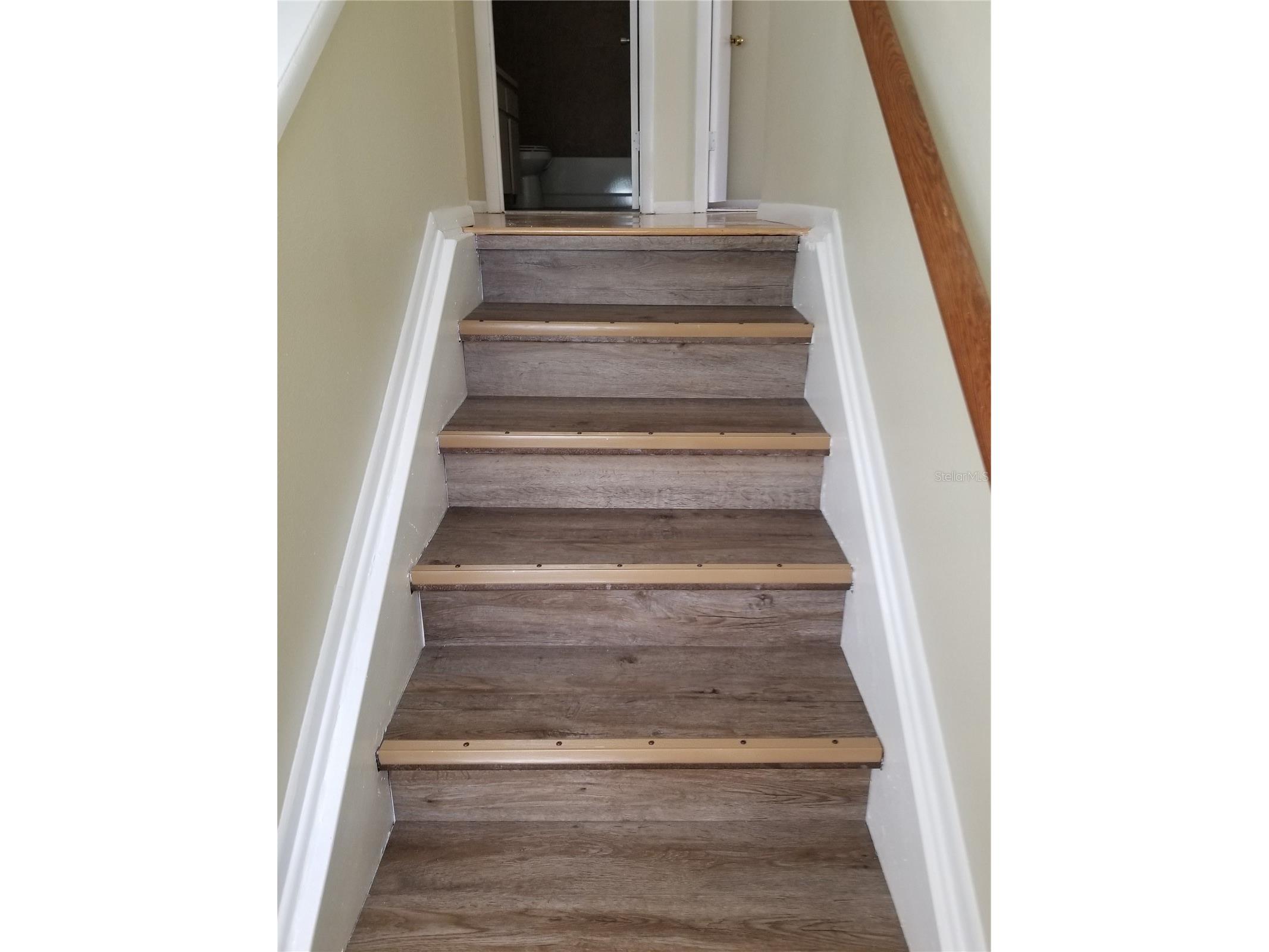 8202 Broward Place Temple Terrace FL 33637 TB8489407 image22