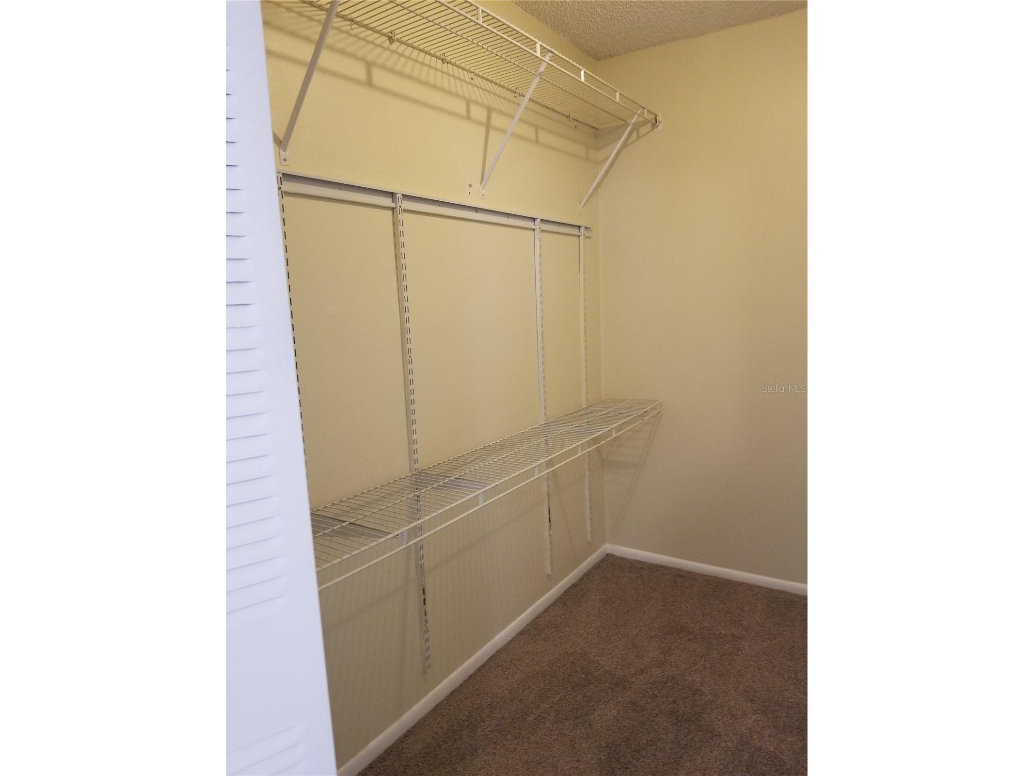 8202 Broward Place Temple Terrace FL 33637 TB8489407 image24