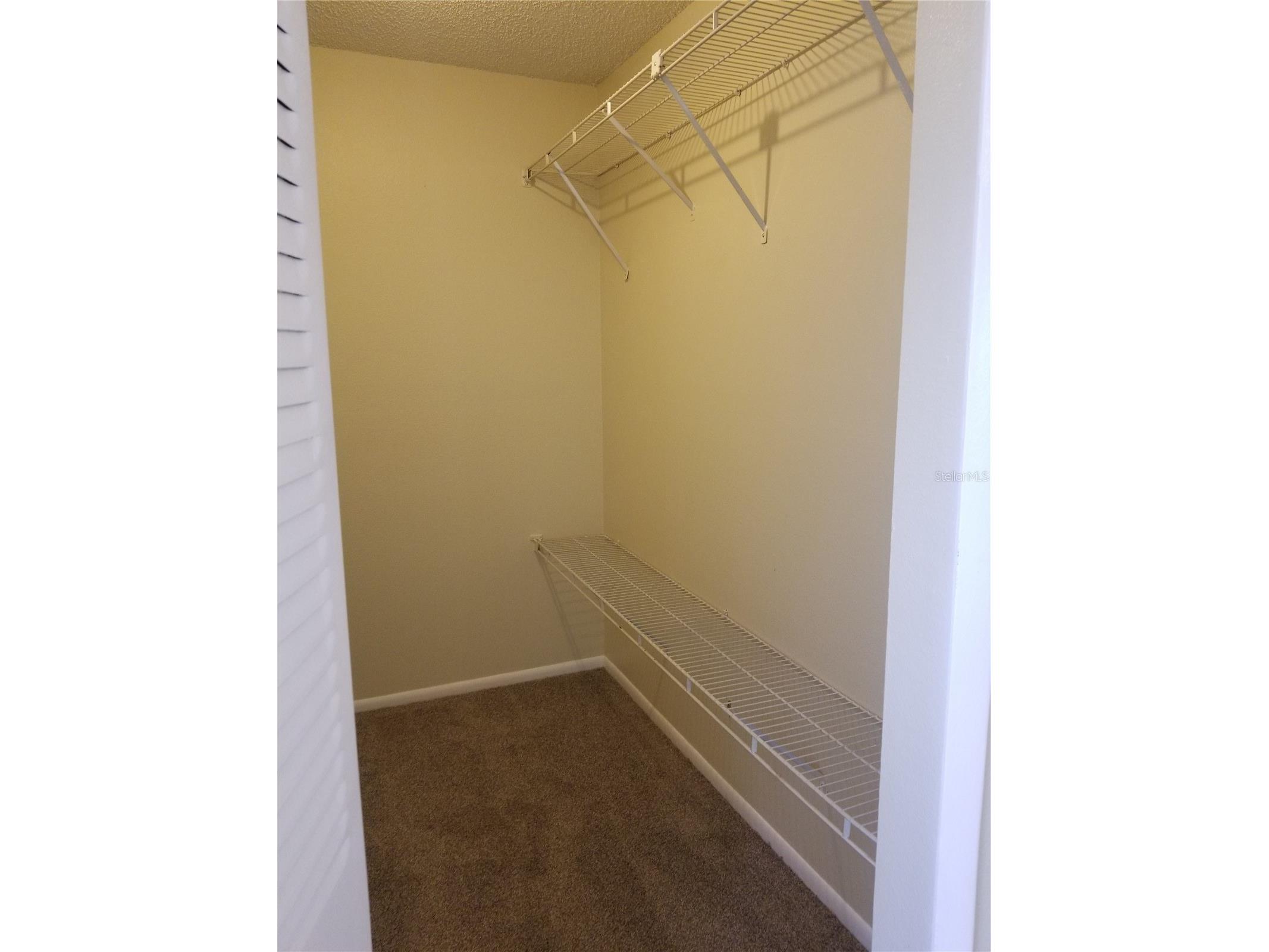 8202 Broward Place Temple Terrace FL 33637 TB8489407 image25