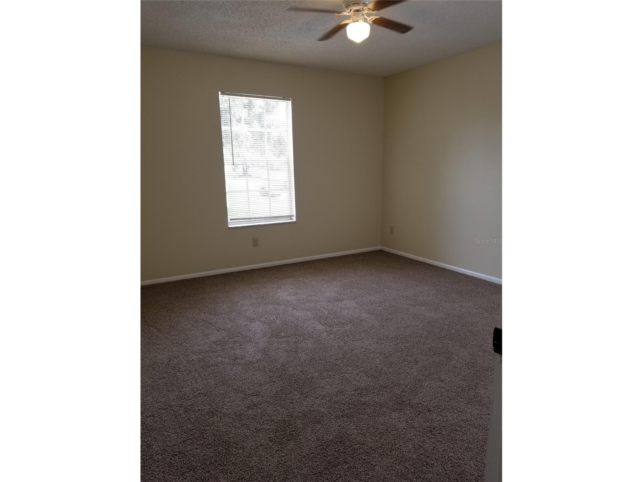 8202 Broward Place Temple Terrace FL 33637 TB8489407 image30