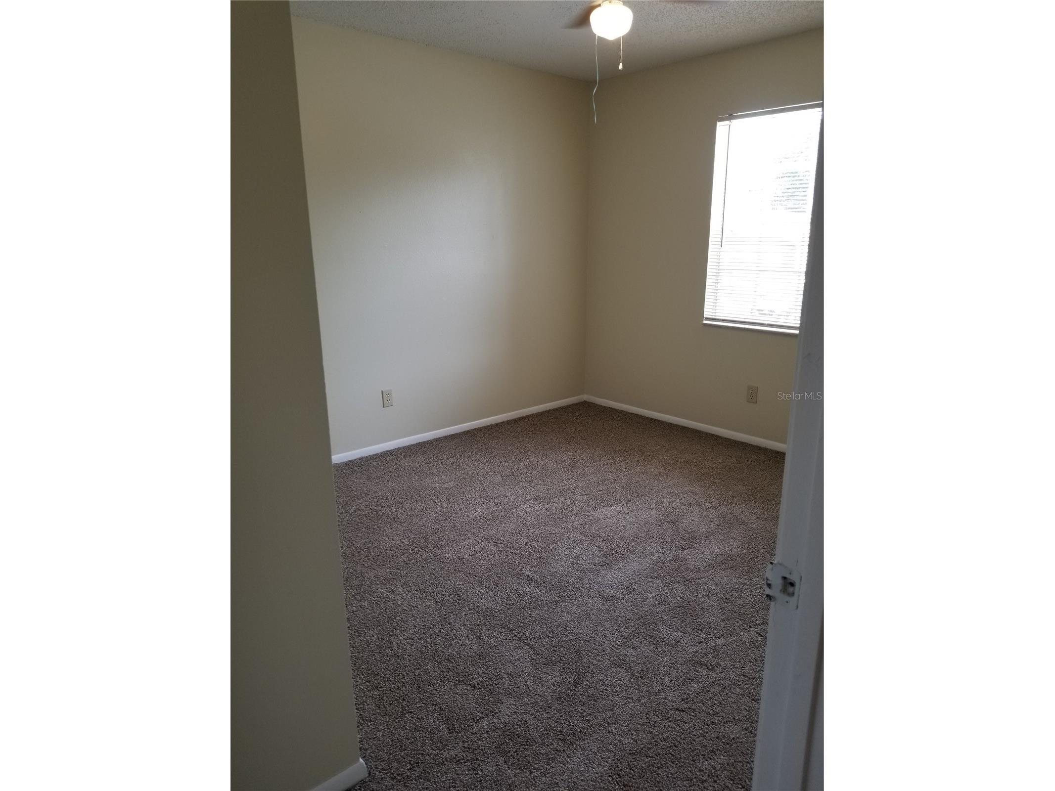 8202 Broward Place Temple Terrace FL 33637 TB8489407 image32