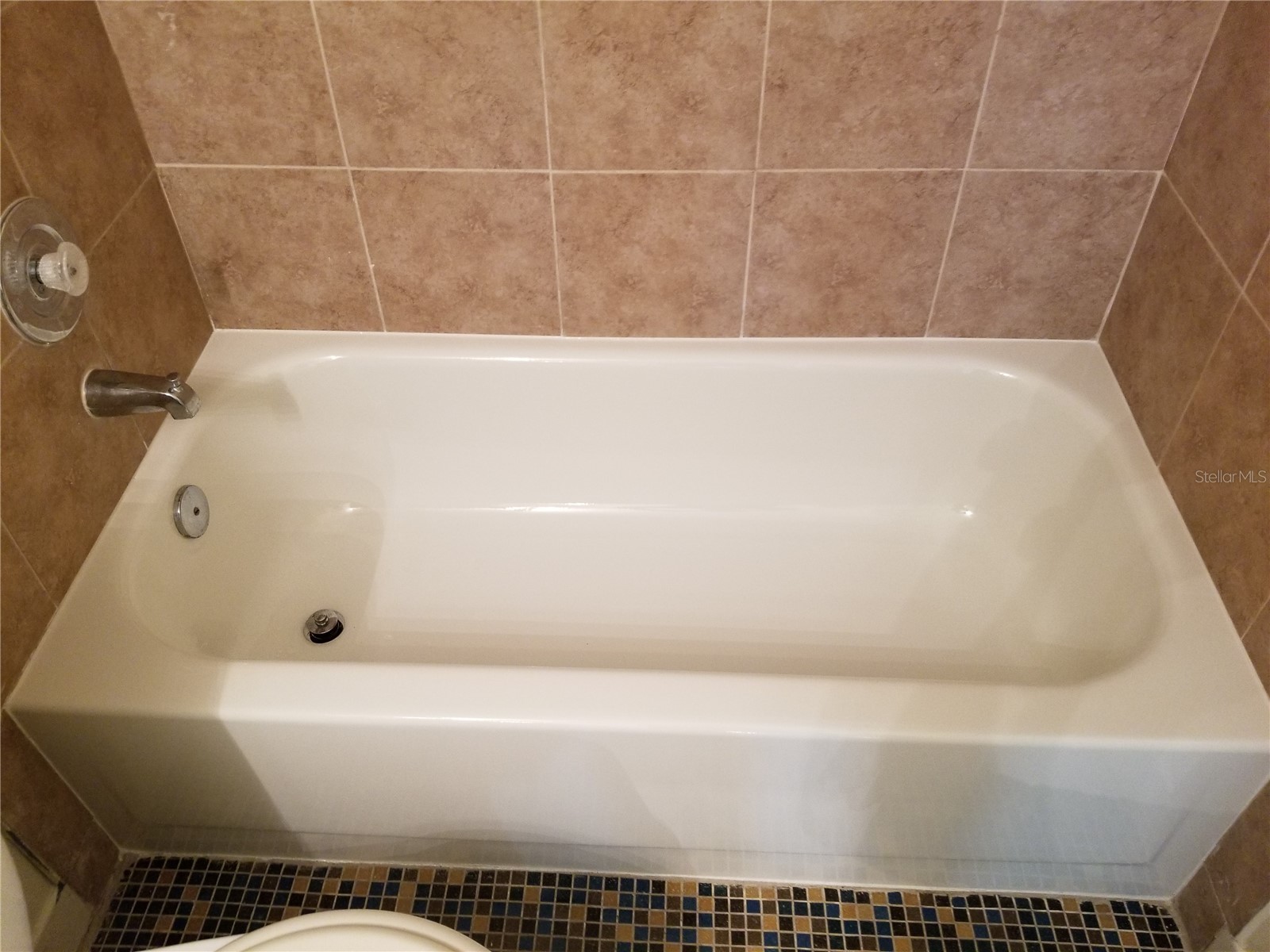 8202 Broward Place Temple Terrace FL 33637 TB8489407 image36