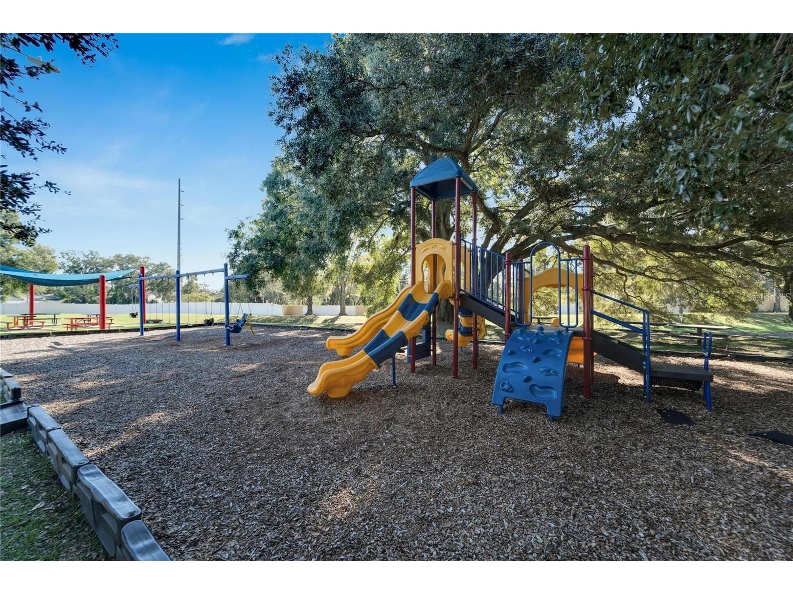 8202 Broward Place Temple Terrace FL 33637 TB8489407 image41