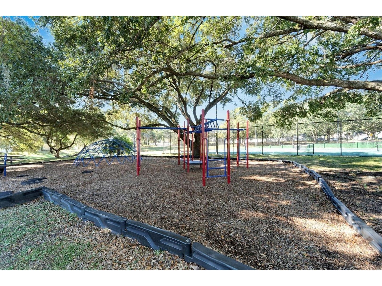 8202 Broward Place Temple Terrace FL 33637 TB8489407 image43