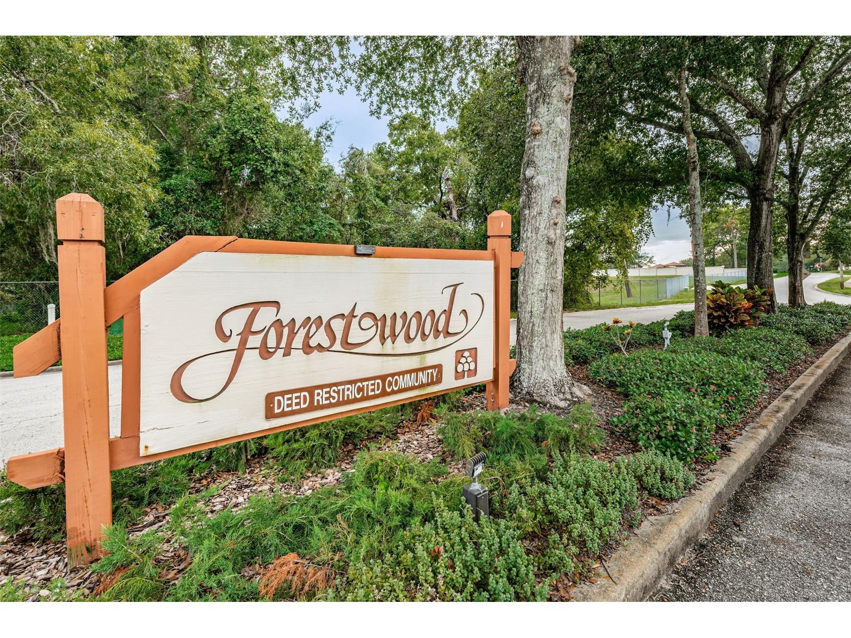 8202 Leafy Court Port Richey FL 34668 TB8471413 image42