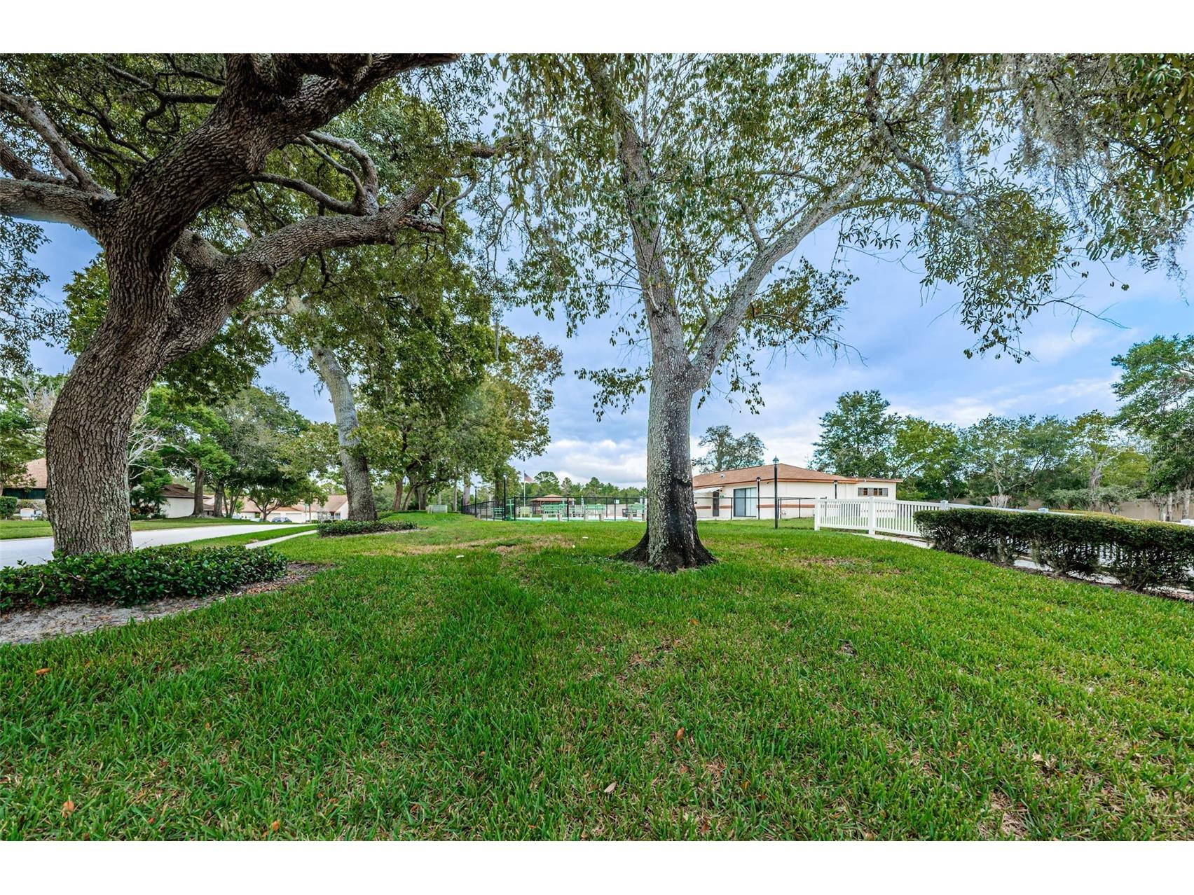 8202 Leafy Court Port Richey FL 34668 TB8471413 image43