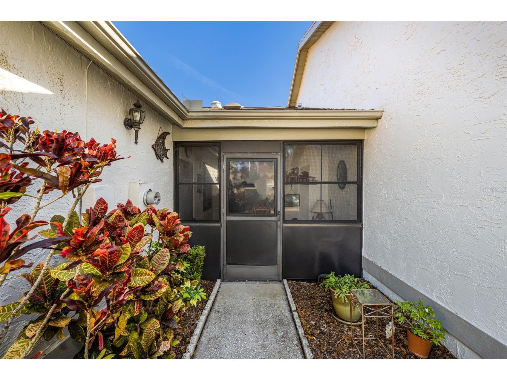 8202 Leafy Court Port Richey FL 34668 TB8471413 image5