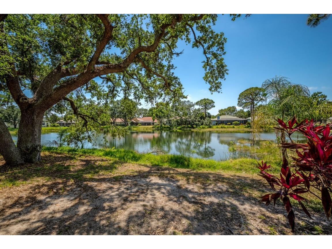 8202 Shadow Pine Way Sarasota FL 34238 O6305019 image39