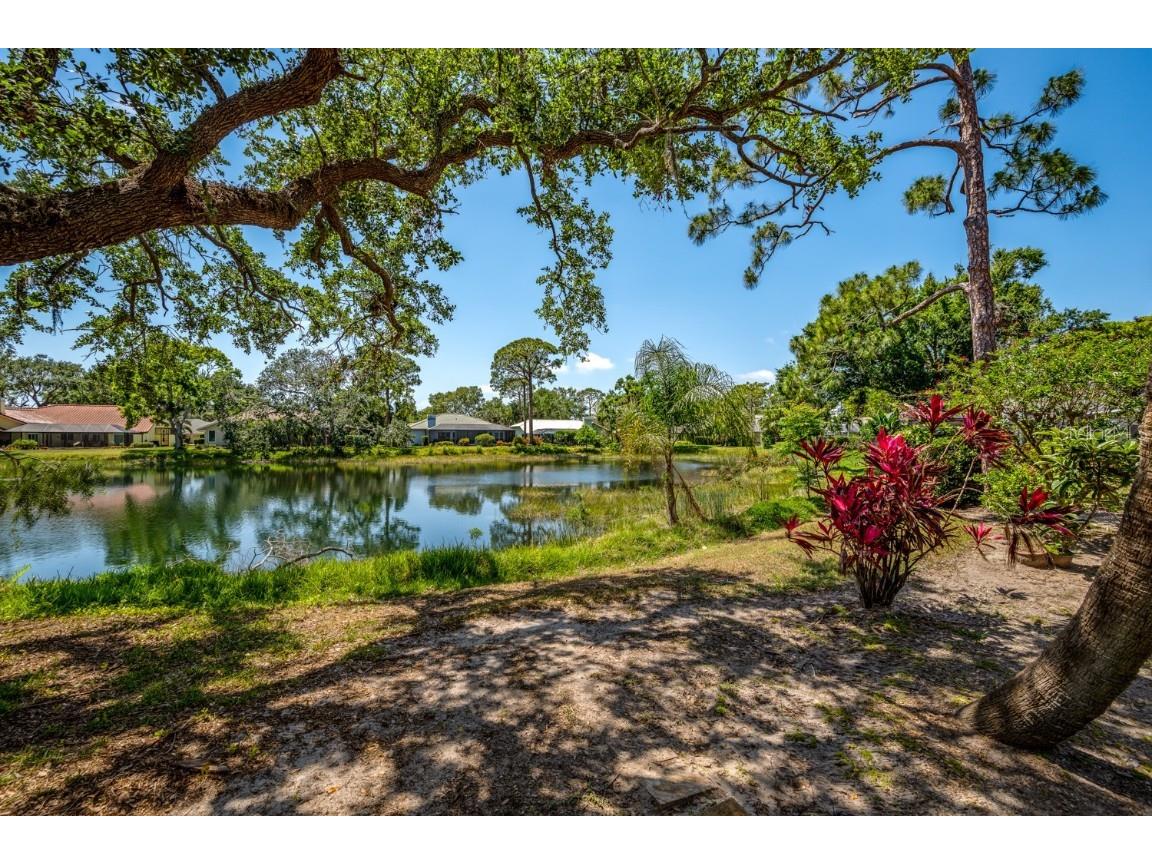 8202 Shadow Pine Way Sarasota FL 34238 O6305019 image40