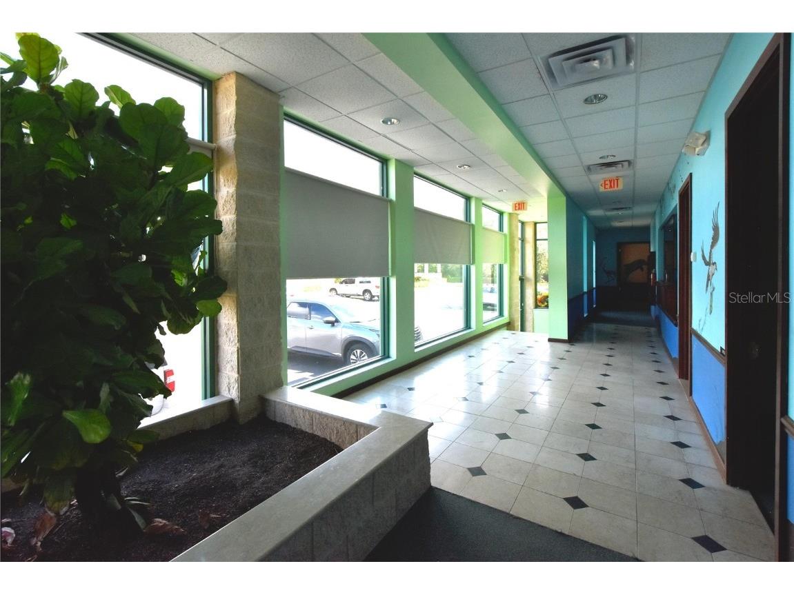 8202 Washington Street Port Richey FL 34668 W7874006 image4