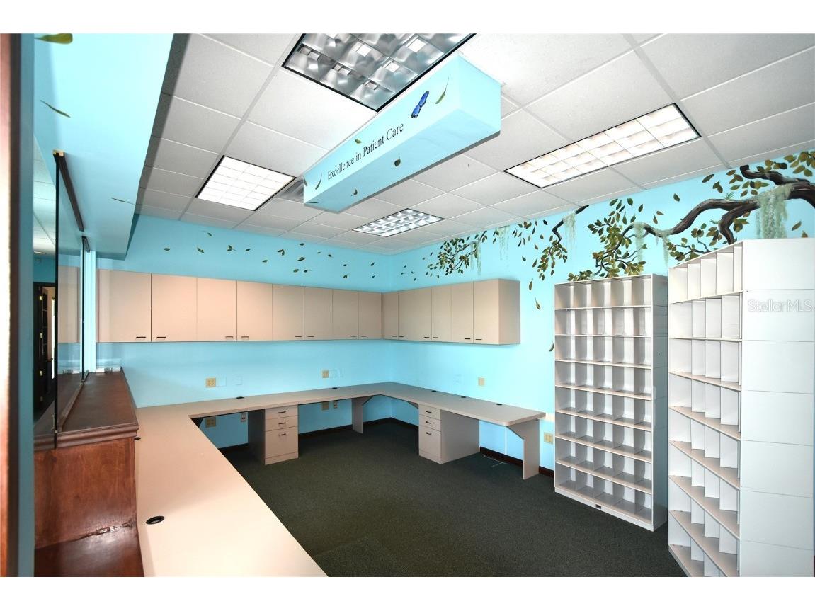 8202 Washington Street Port Richey FL 34668 W7874006 image5