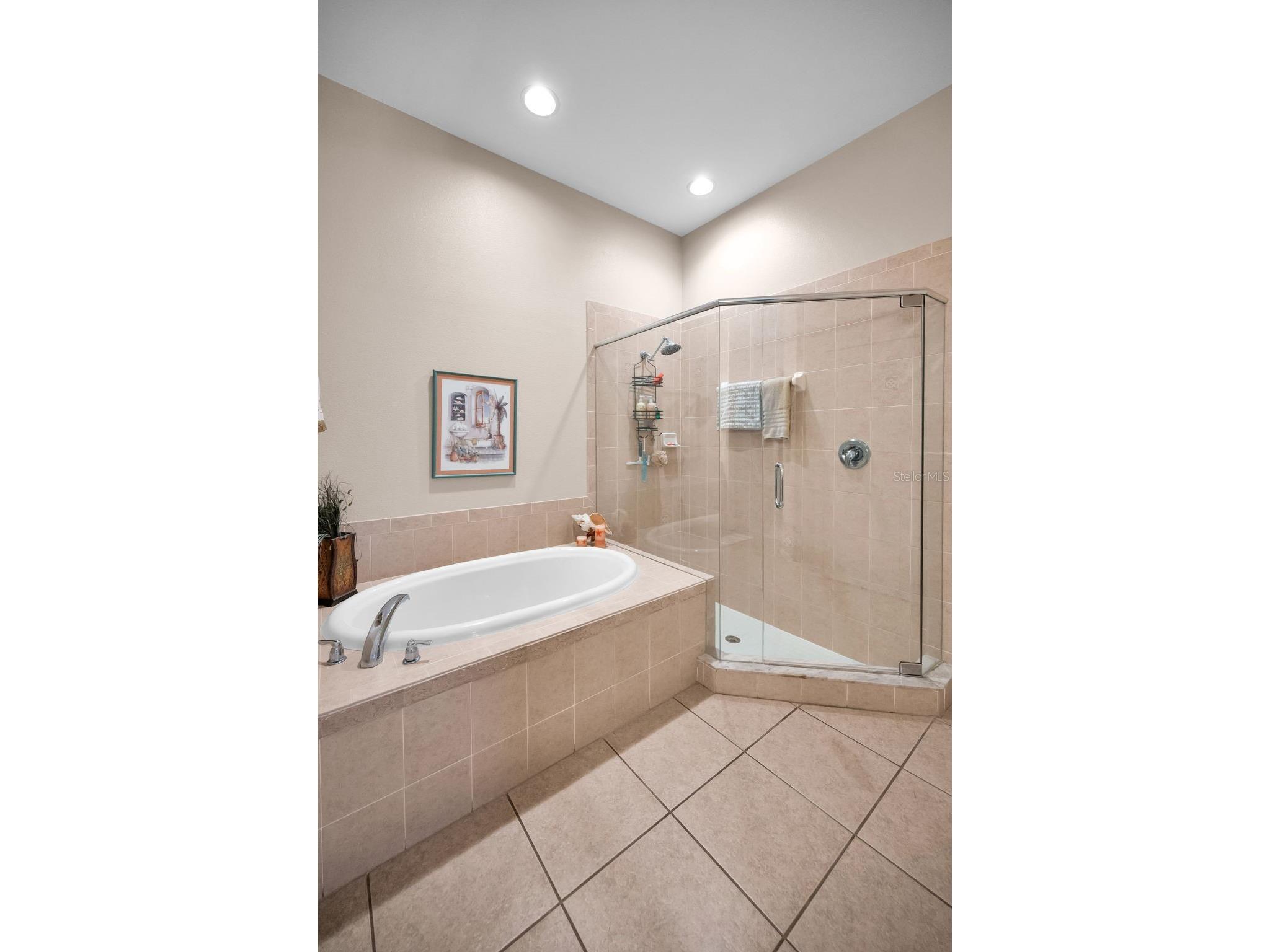 8202 Wild Oaks Circle Largo FL 33773 TB8504580 image32