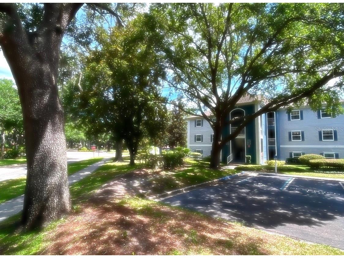 8203 Olympia Court #8203 Longwood FL 32779 O6372375 image21