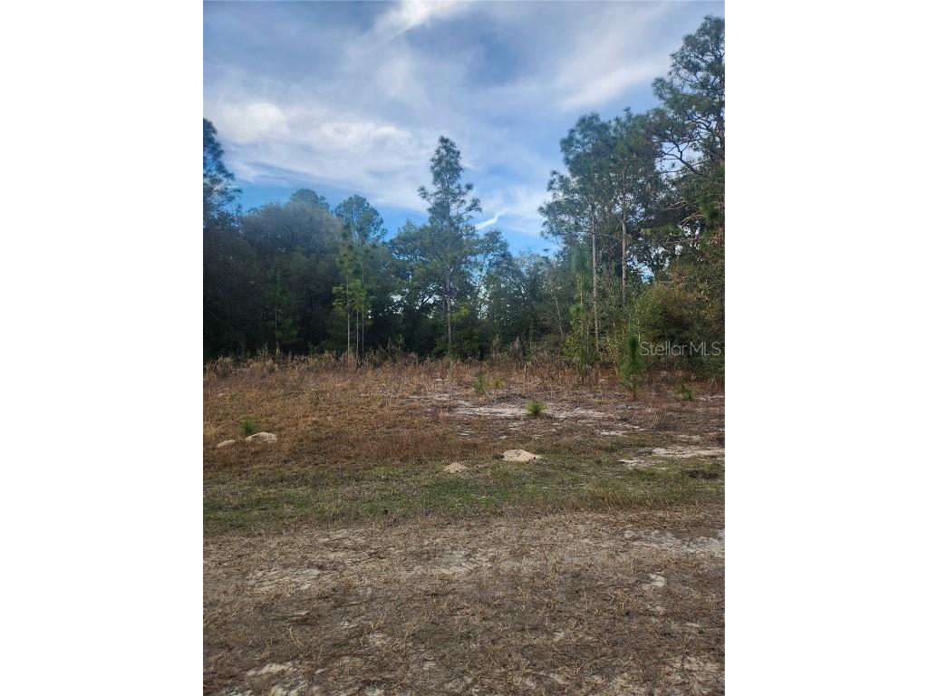 8203 W Baumgardner Lane Crystal River FL 34428 U8223576 image1