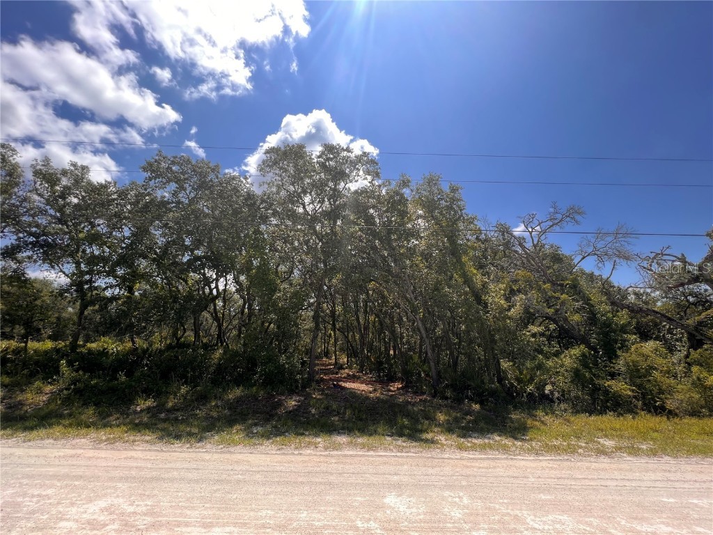 8204 Chimney Rock Drive Webster FL 33597 T3452127 image1