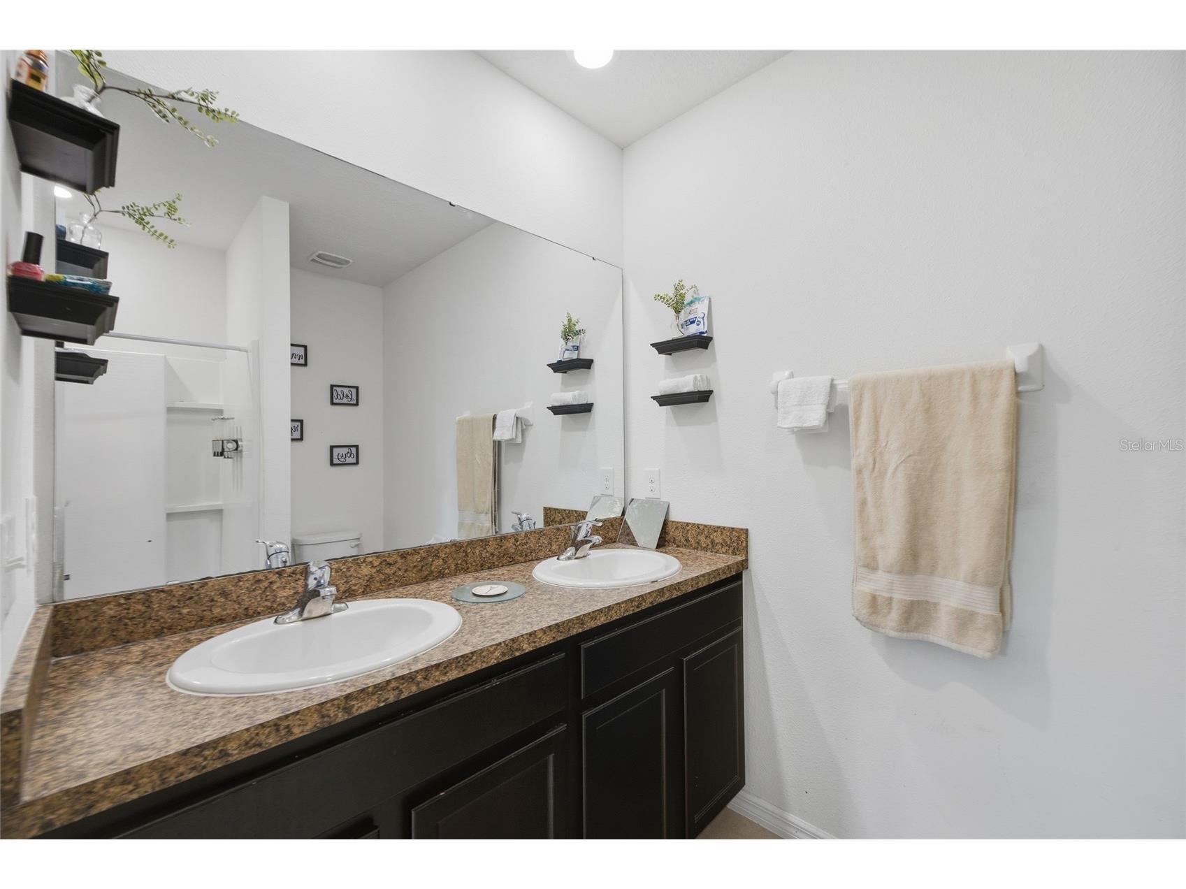 8204 Pelican Reed Circle Wesley Chapel FL 33545 TB8473827 image16