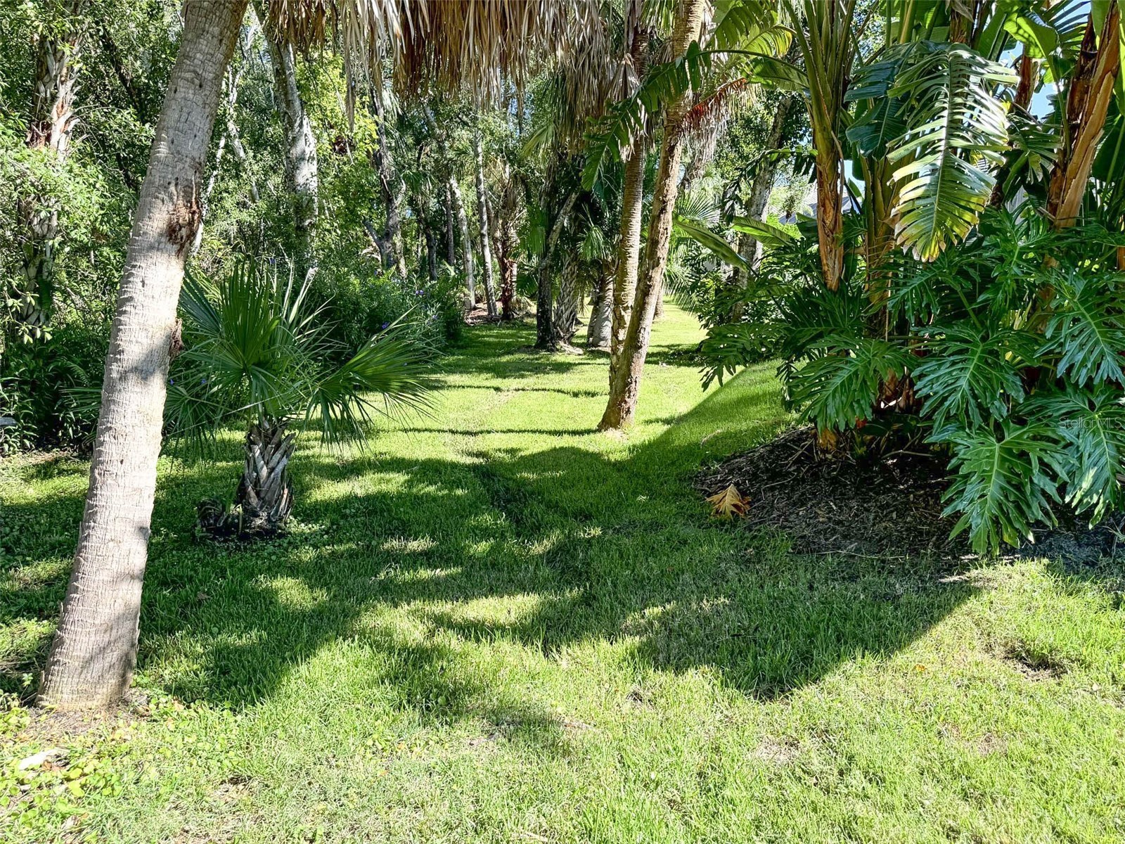 8204 Waterview Boulevard Lakewood Ranch FL 34202 A4664261 image46