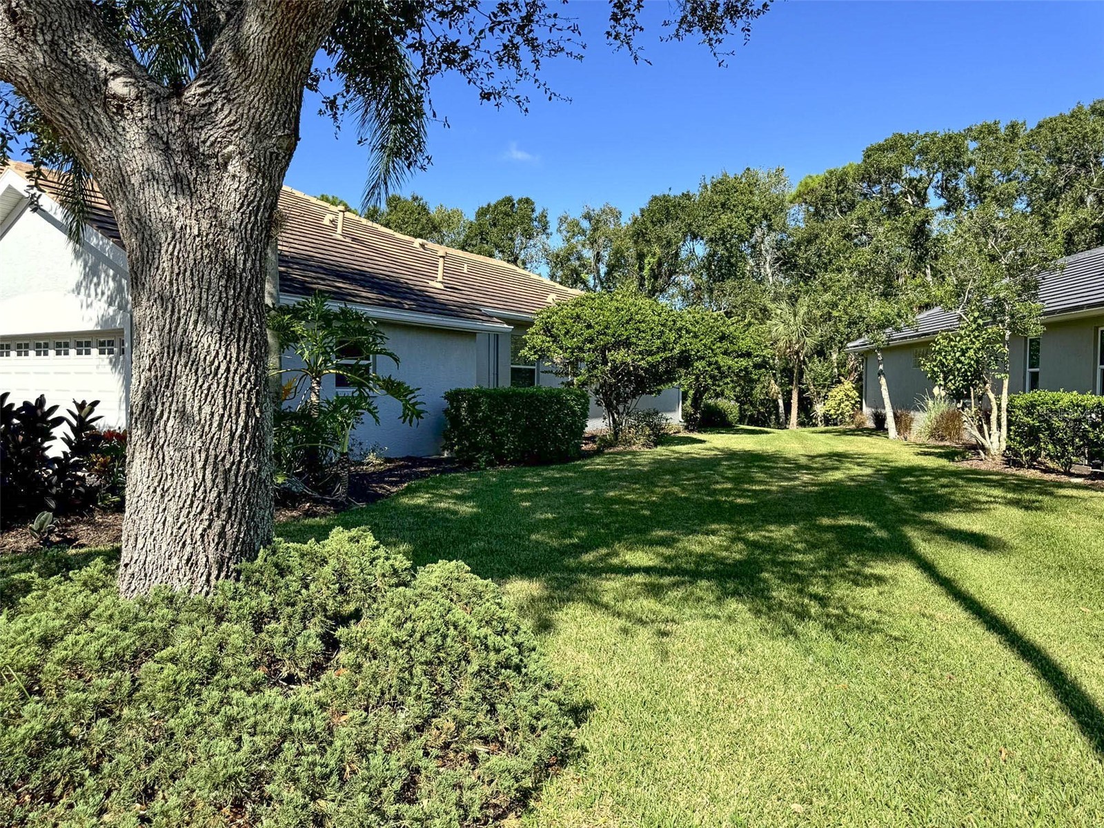 8204 Waterview Boulevard Lakewood Ranch FL 34202 A4664261 image50