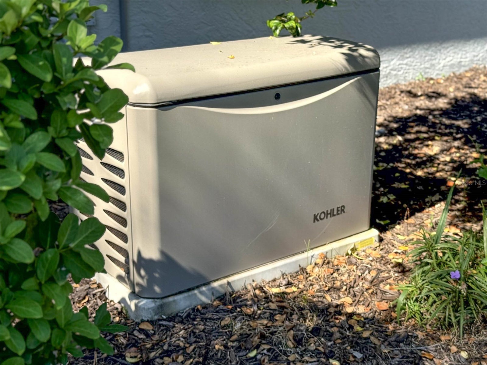 8204 Waterview Boulevard Lakewood Ranch FL 34202 A4664261 image51