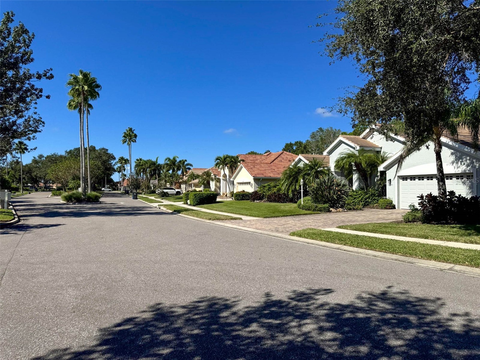 8204 Waterview Boulevard Lakewood Ranch FL 34202 A4664261 image55