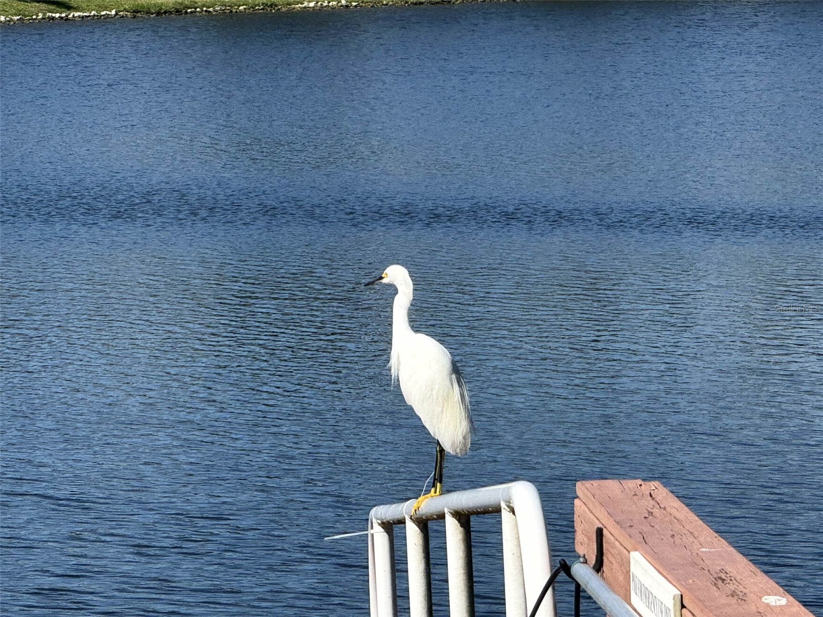 8204 Waterview Boulevard Lakewood Ranch FL 34202 A4664261 image70