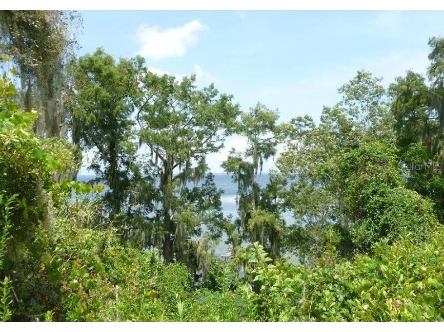 8205 NE 310th Avenue Fort Mc Coy FL 32134 A4582478 image1