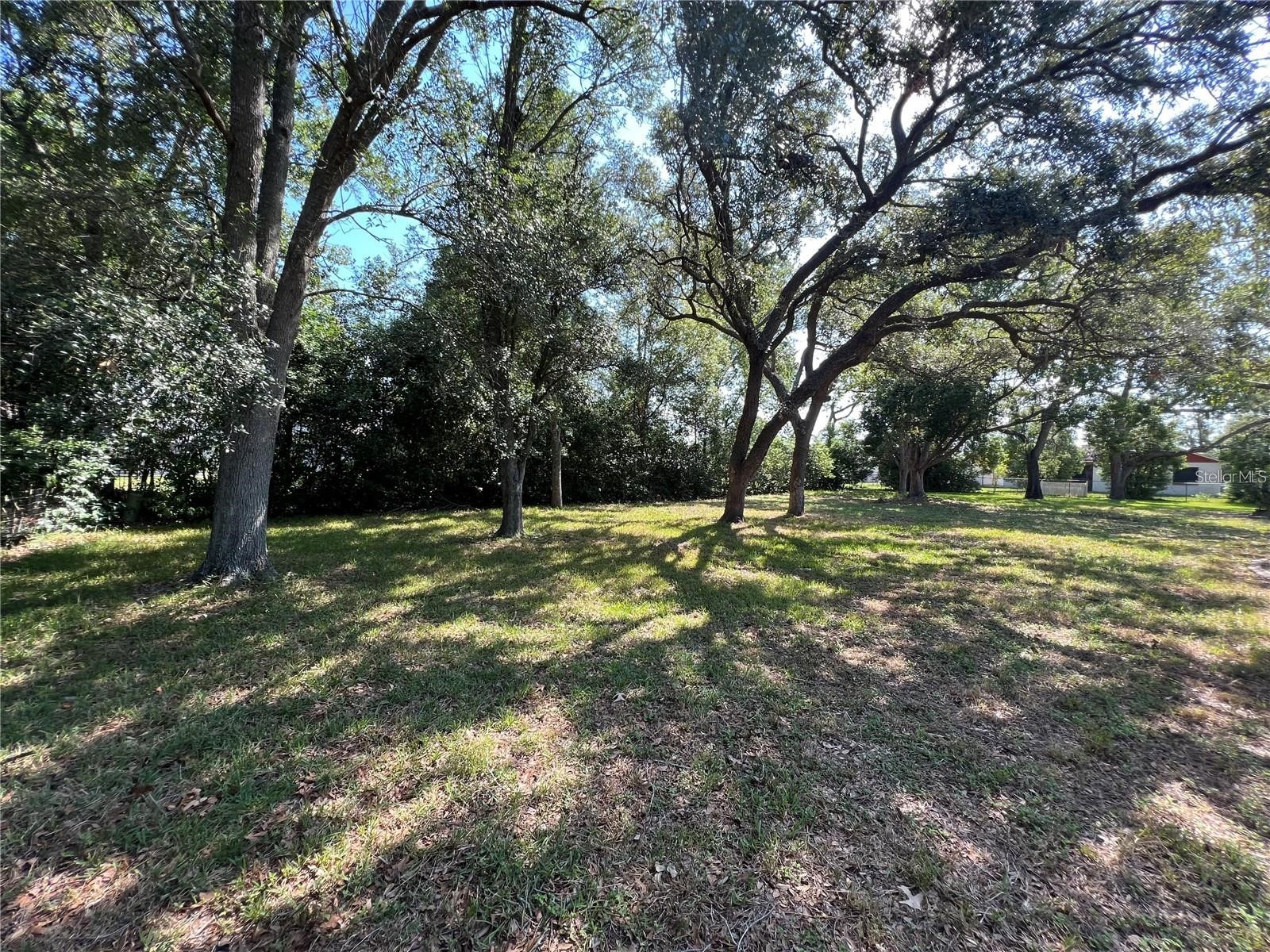 8205 Pagoda Drive Spring Hill FL 34606 TB8524604 image12