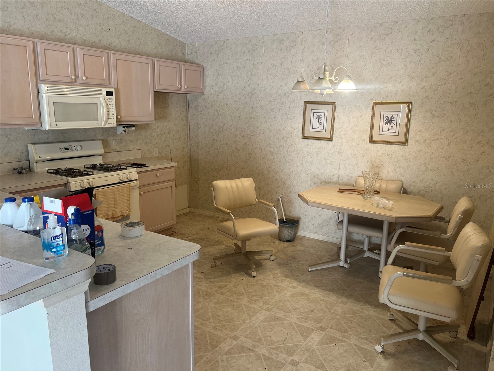 8205 SE 169th Palownia Loop The Villages FL 32162 G5113931 image5