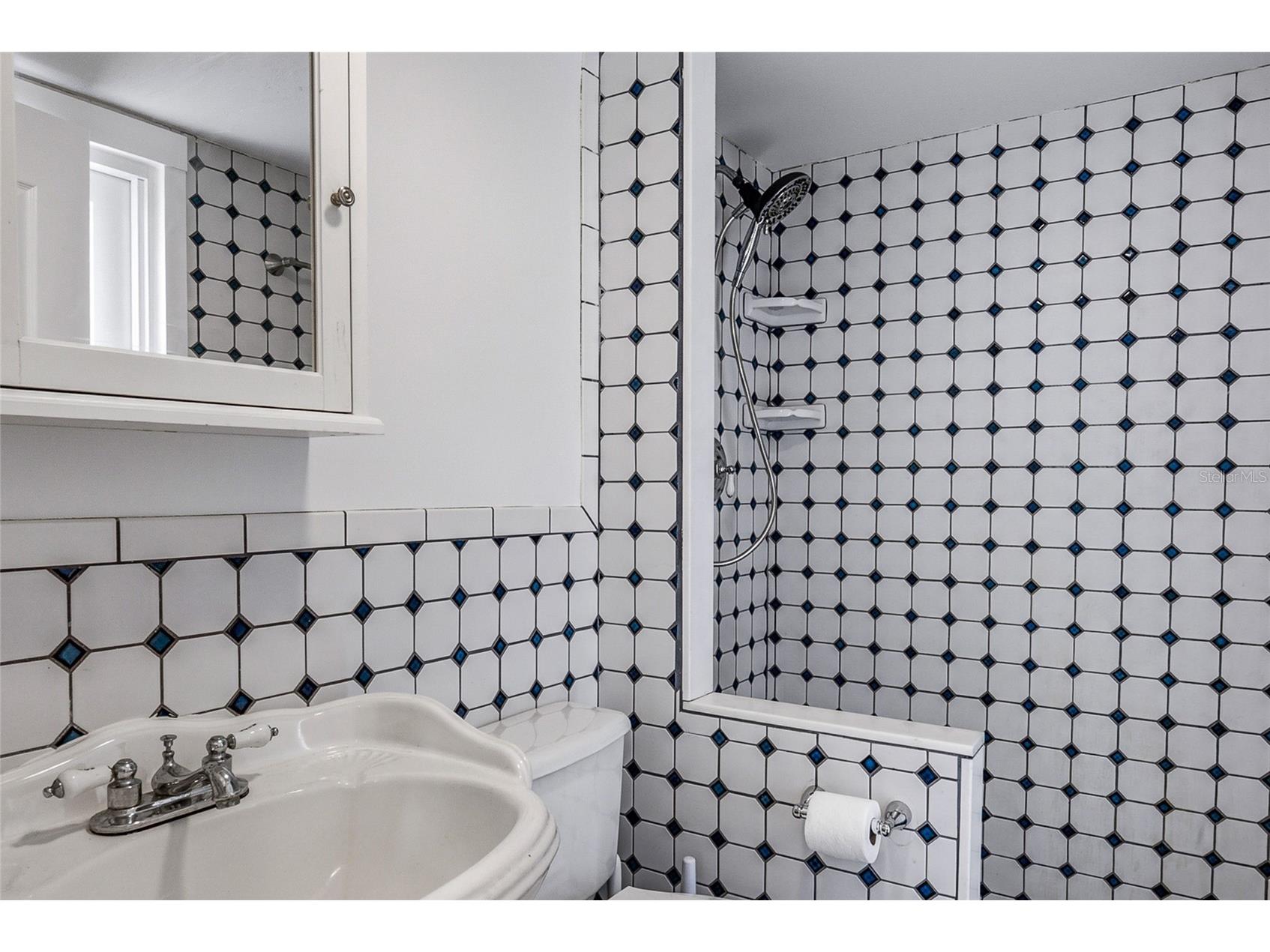 8205 Westridge Drive Tampa FL 33615 TB8518933 image27