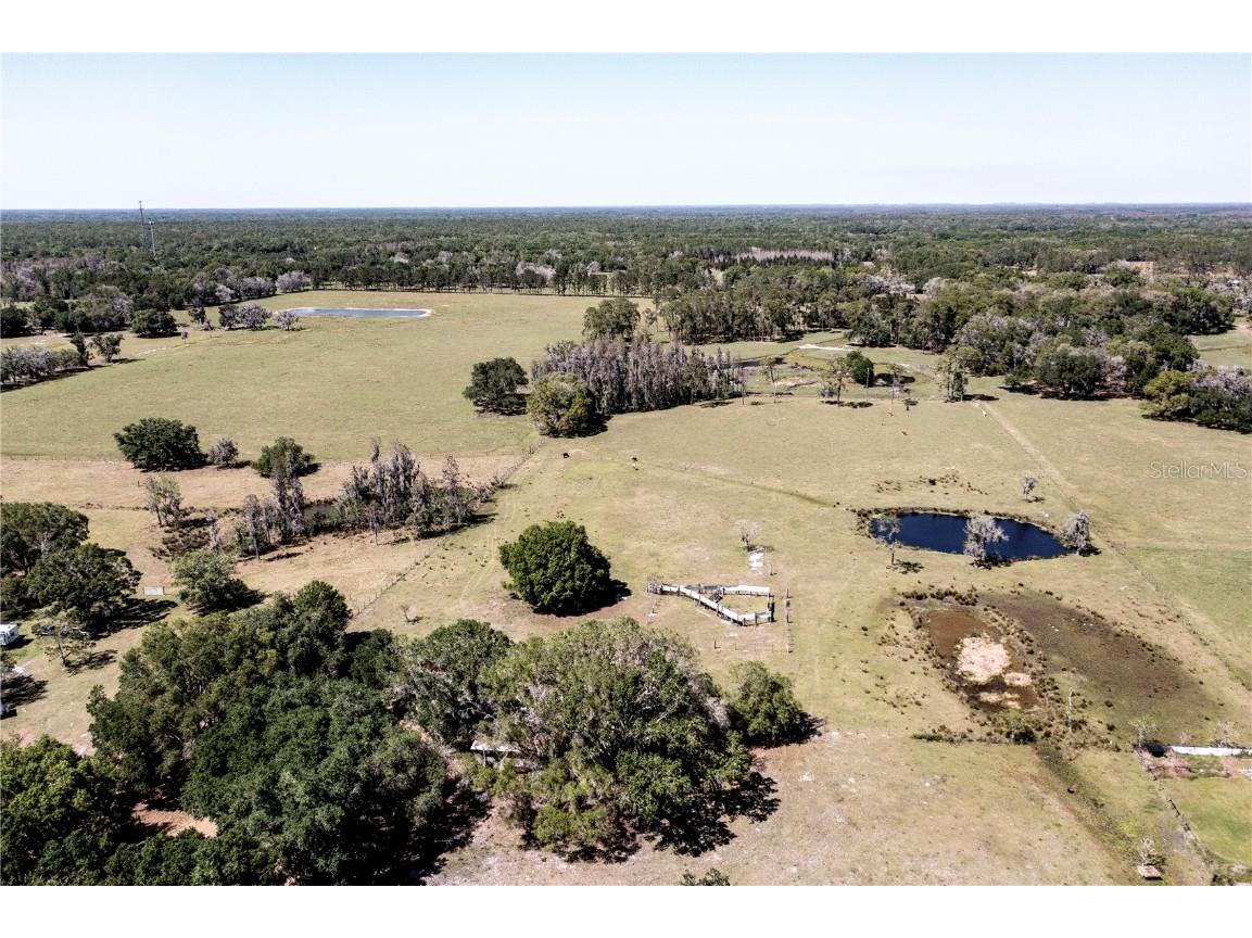 8206 Back Road Plant City FL 33565 T3363717 image1