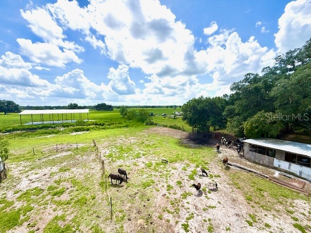 8206 Back Road Plant City FL 33565 TB8511516 image29