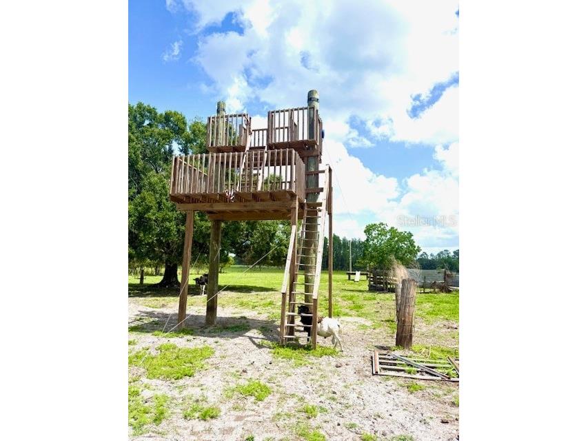 8206 Back Road Plant City FL 33565 TB8511516 image33