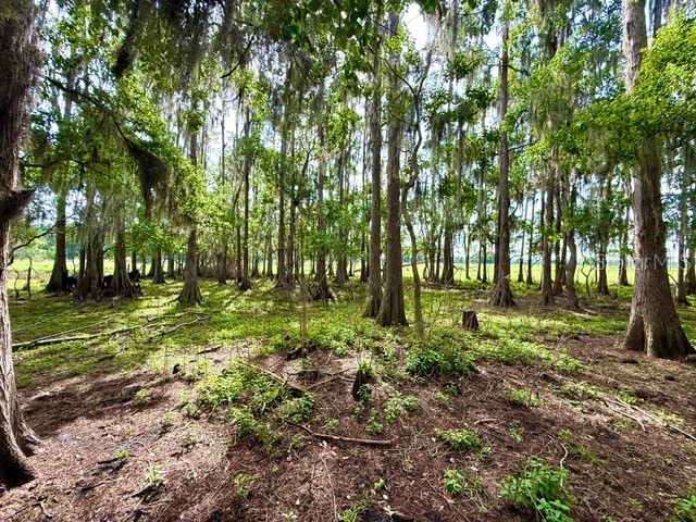 8206 Back Road Plant City FL 33565 TB8511516 image35