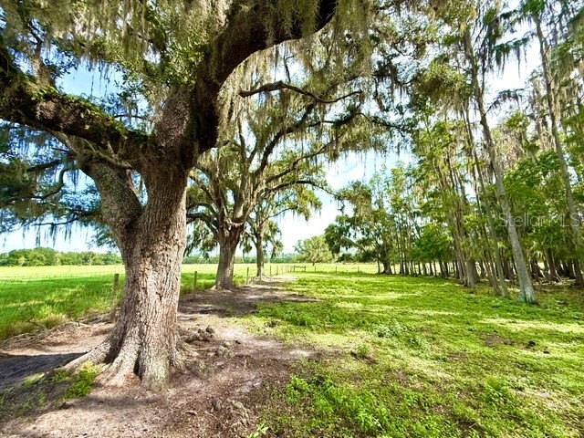 8206 Back Road Plant City FL 33565 TB8511516 image36