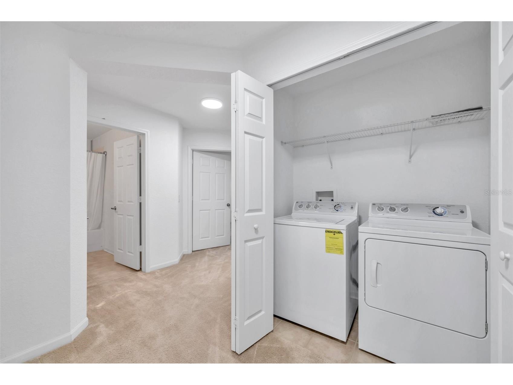 8206 Bally Money Road Tampa FL 33610 TB8464613 image19