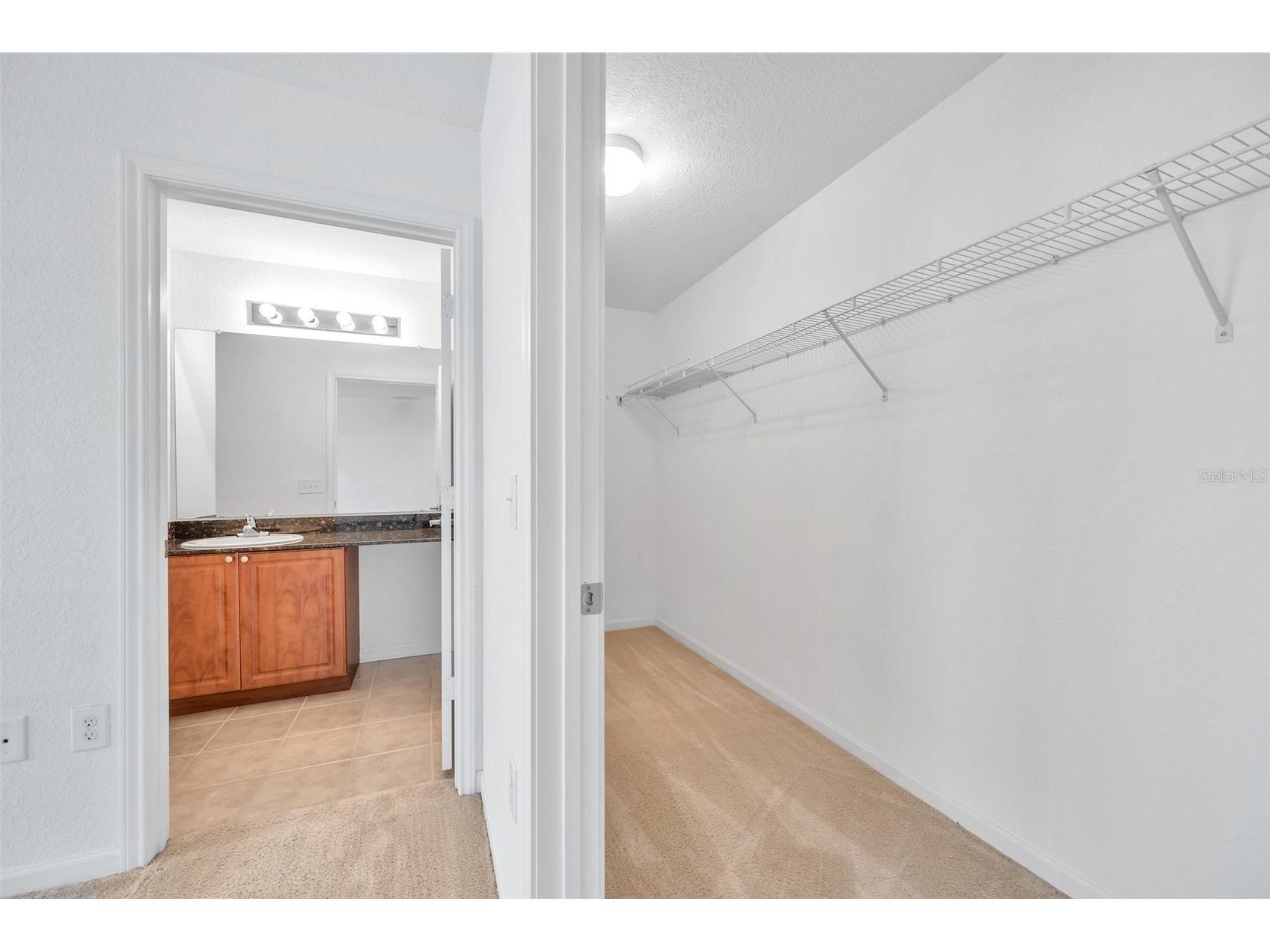 8206 Bally Money Road Tampa FL 33610 TB8464613 image24