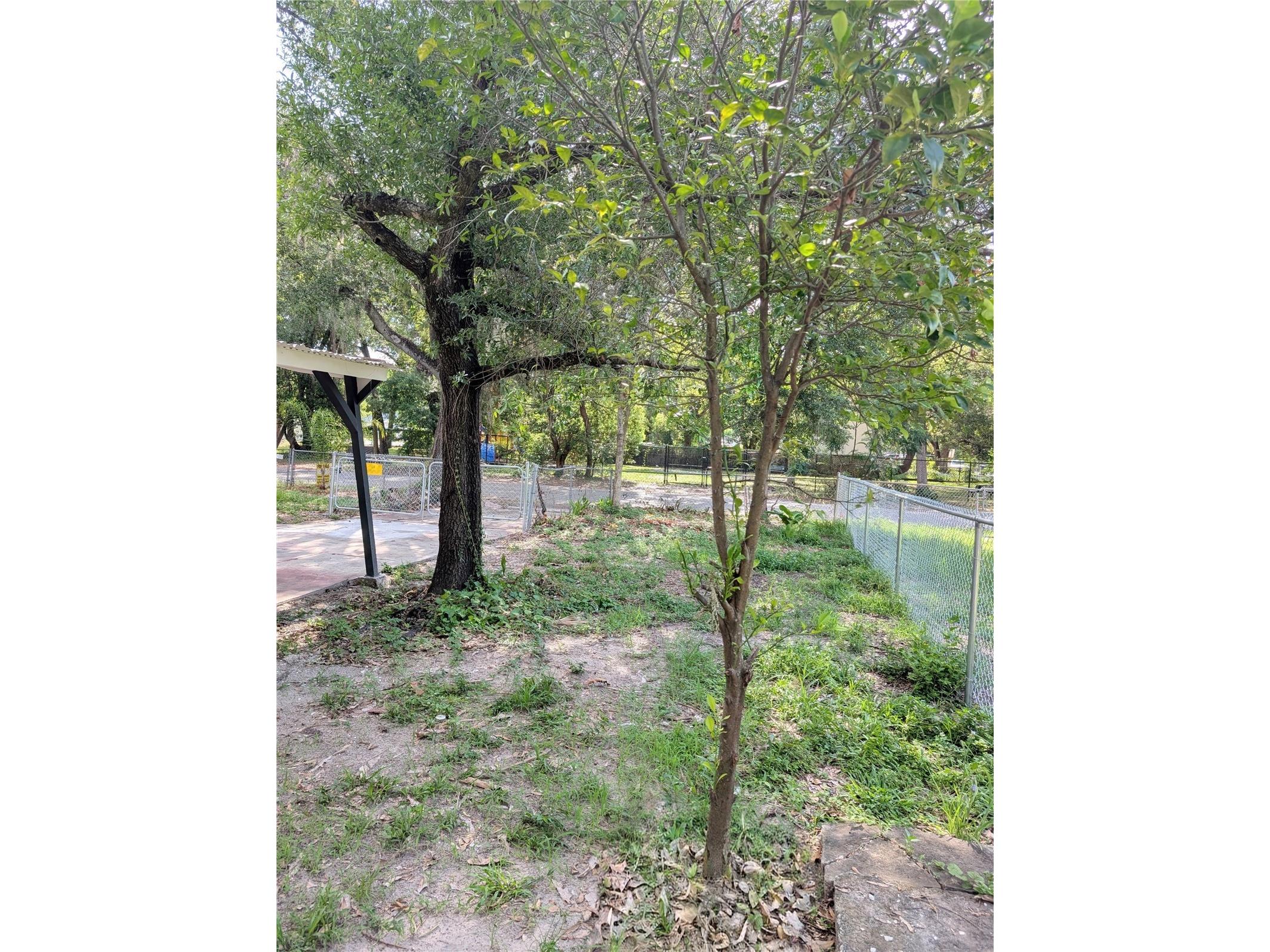 8206 N 19th Street Tampa FL 33604 TB8518918 image40