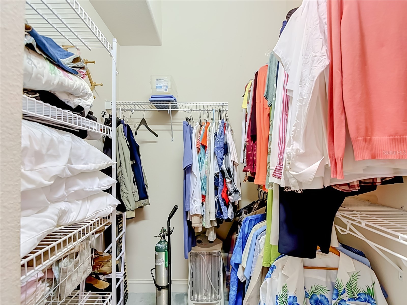 8206 Pinehurst Drive Spring Hill FL 34606 W7887548 image50