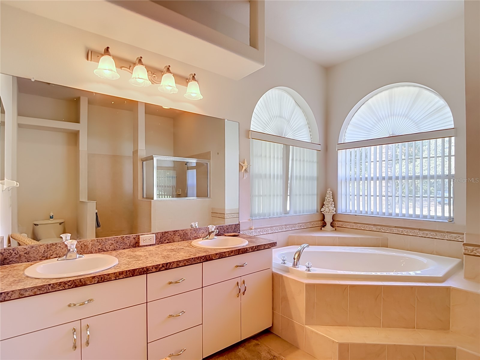 8206 Pinehurst Drive Spring Hill FL 34606 W7887548 image52