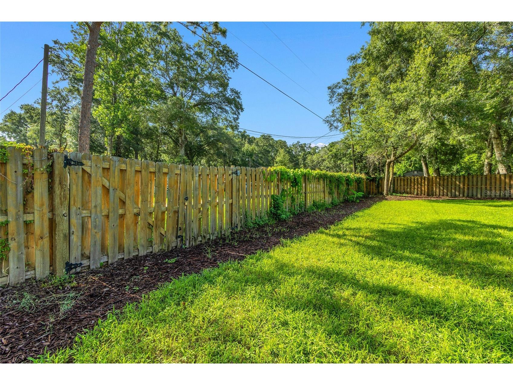 8206 Simmons Street Brooksville FL 34613 W7887596 image24