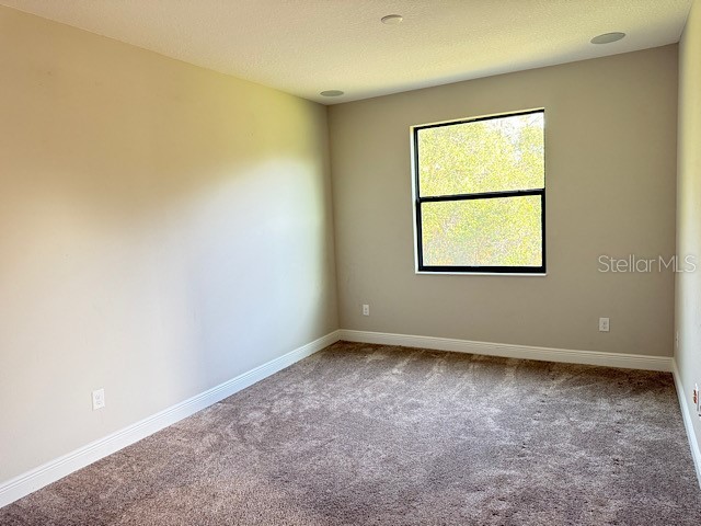 8206 Summer Brook Court Land O Lakes FL 34638 TB8466535 image11